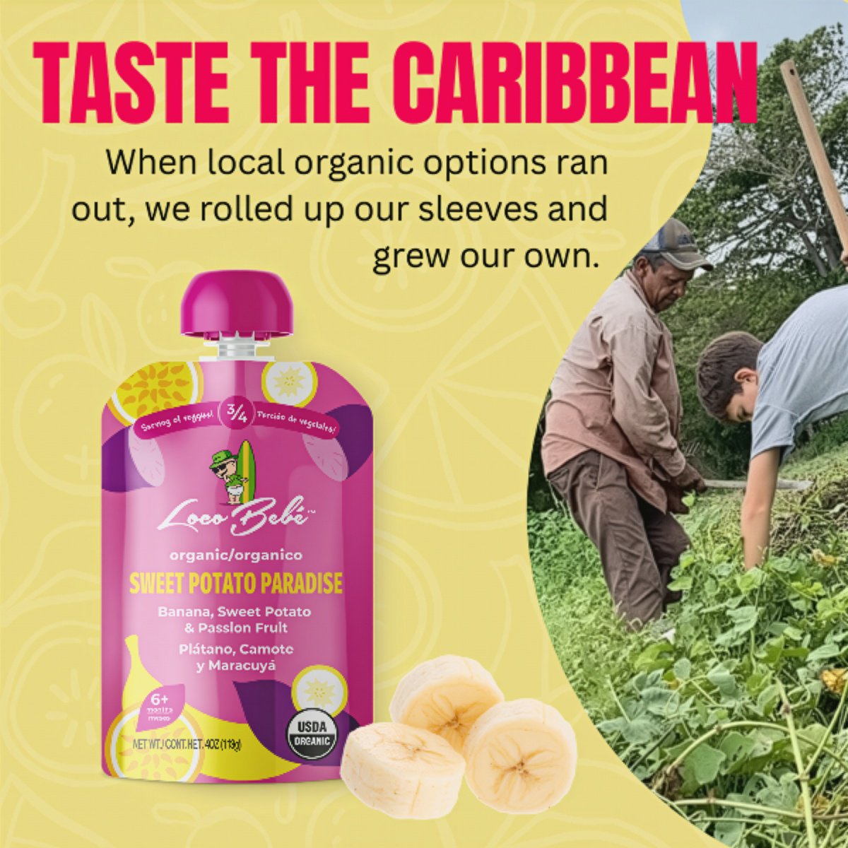Loco Bebe Organic Baby Food Purée - Sweet Potato Paradise