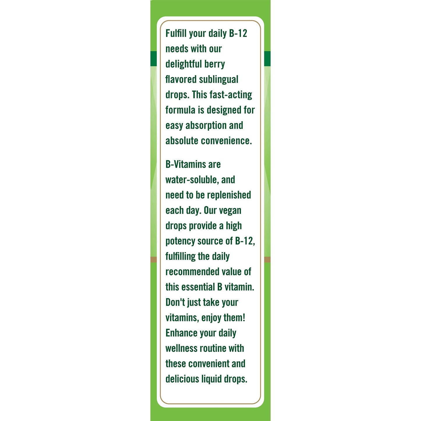 Nature's Truth B-12 Sublingual Liquid Drops
