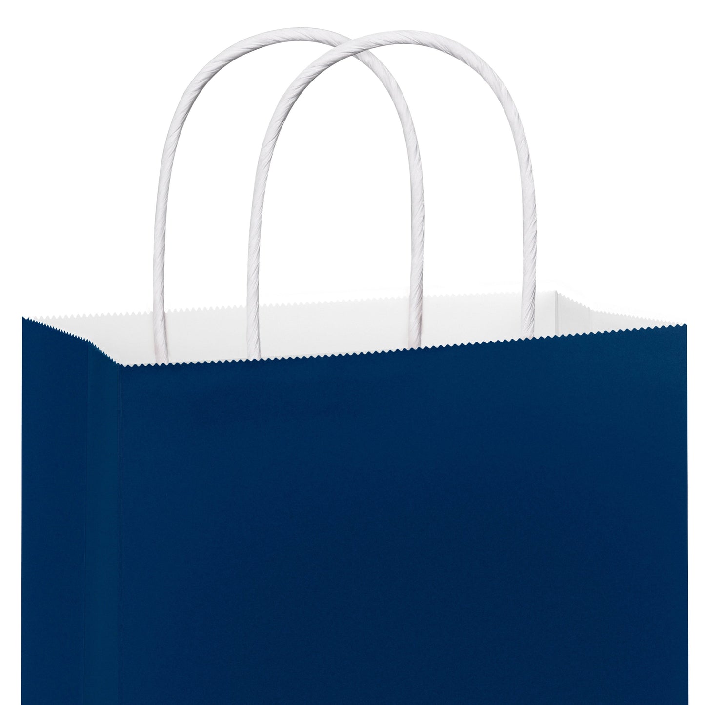 American Greetings Large Solid Royal Blue Gift Bag for All Occasions