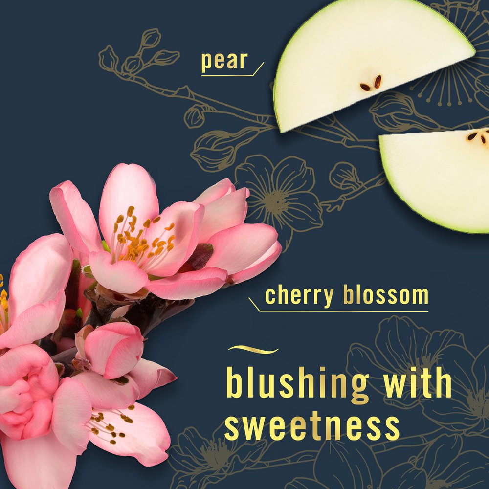 Febreze Plug In Air Freshener Odor-Fighting Scented Oil Refill - Japanese Cherry Blossom