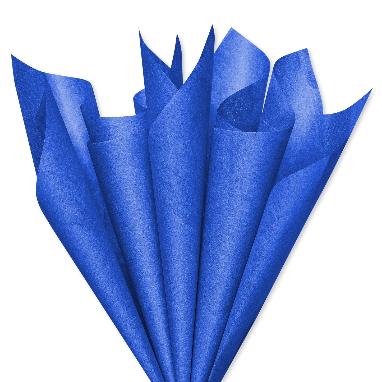 American Greetings Royal Blue Tissue Paper, 8 ct