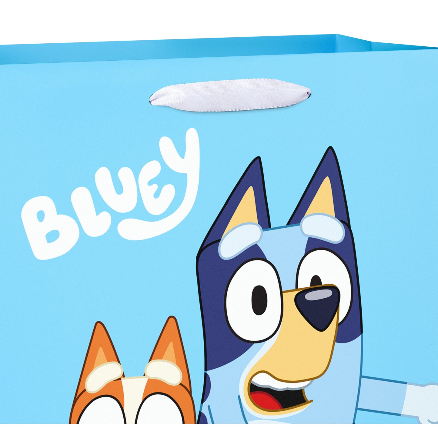 American Greetings Large Bluey & Friends Gift Bag