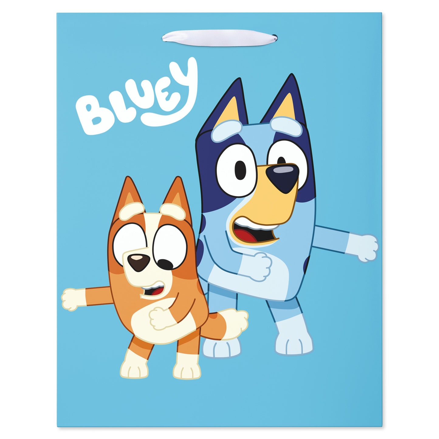 American Greetings Large Bluey & Friends Gift Bag
