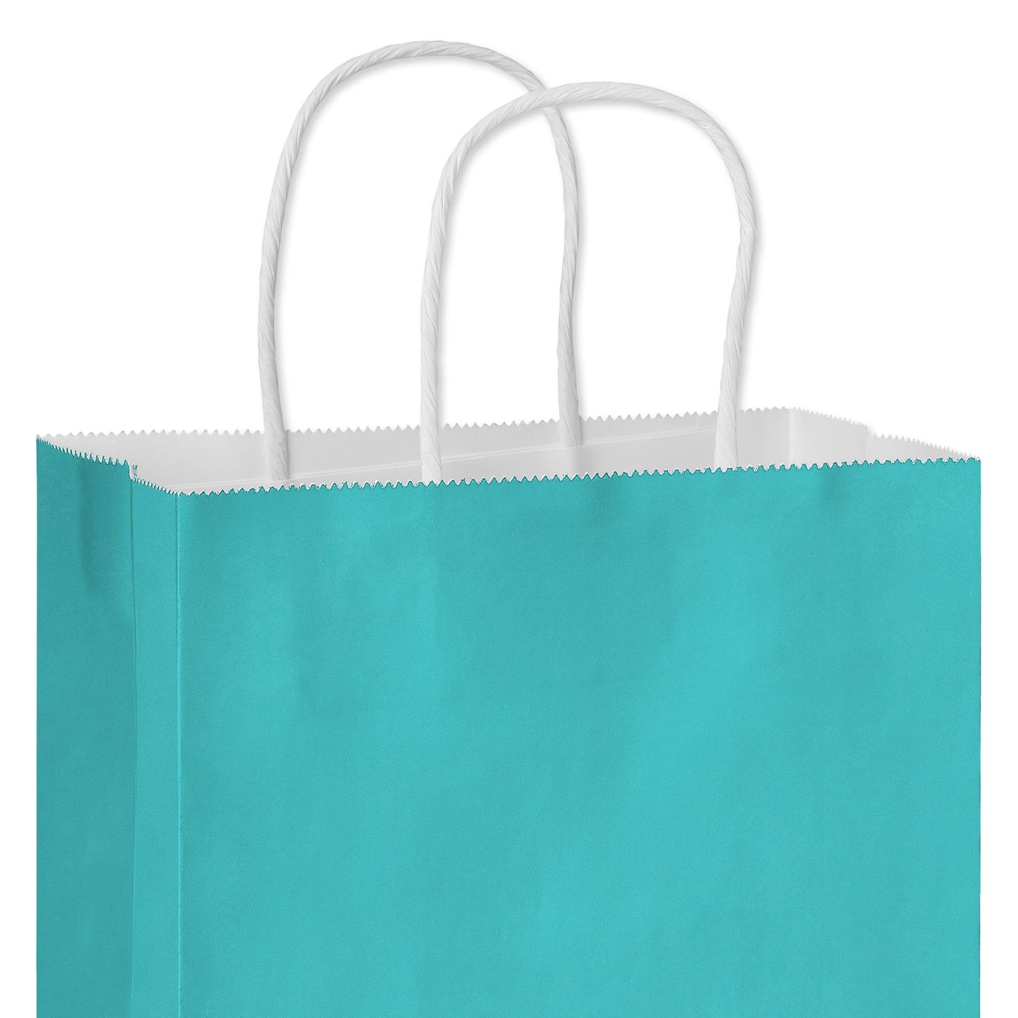 American Greetings Medium Aqua Gift Bag for All Occasions