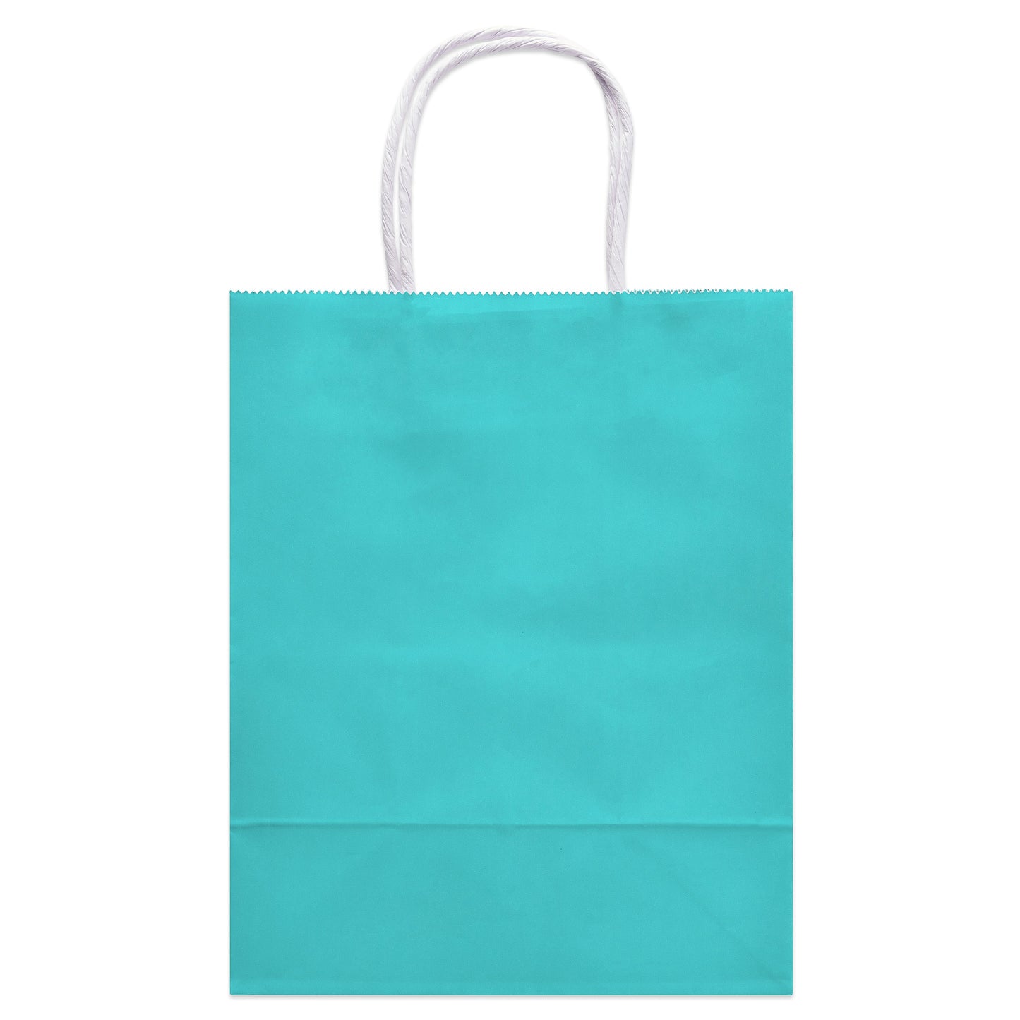 American Greetings Medium Aqua Gift Bag for All Occasions