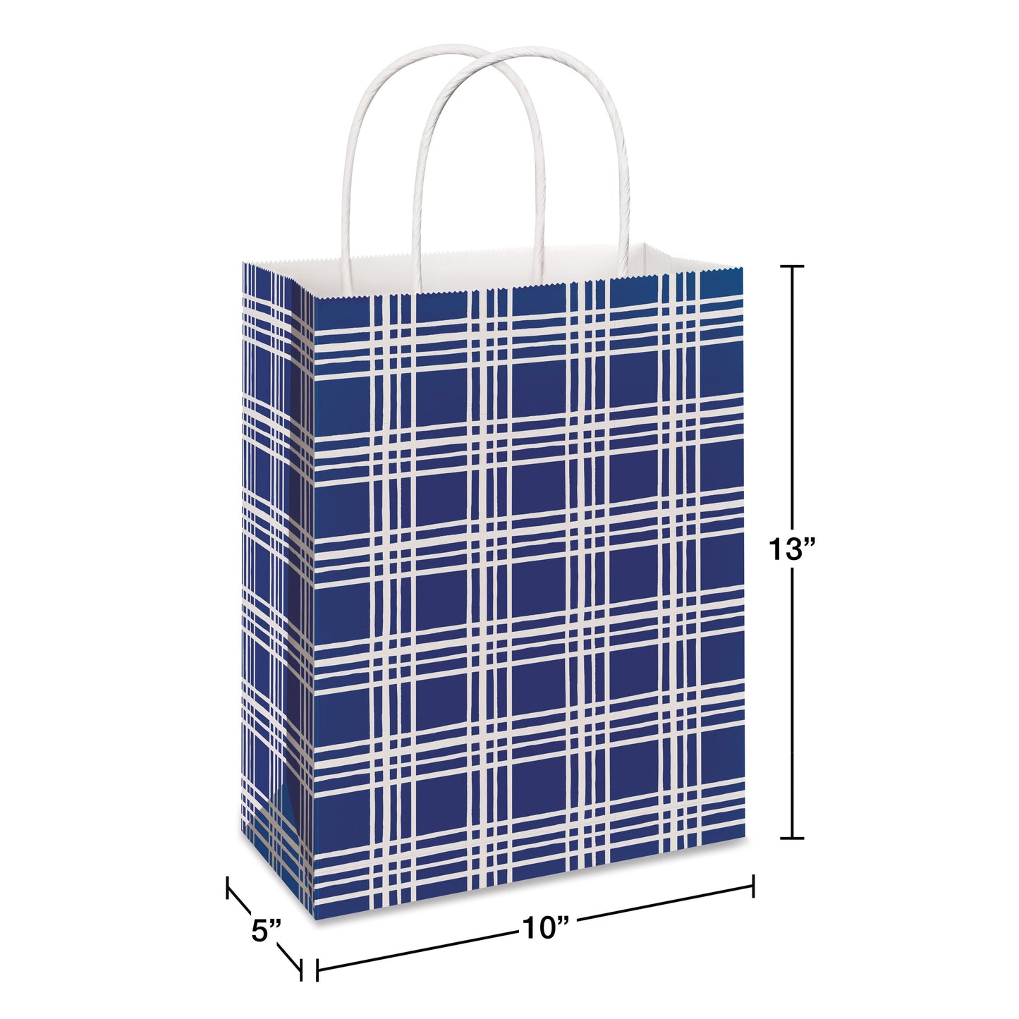 American Greetings All Occasion Large Blue Plaid Gift Bag