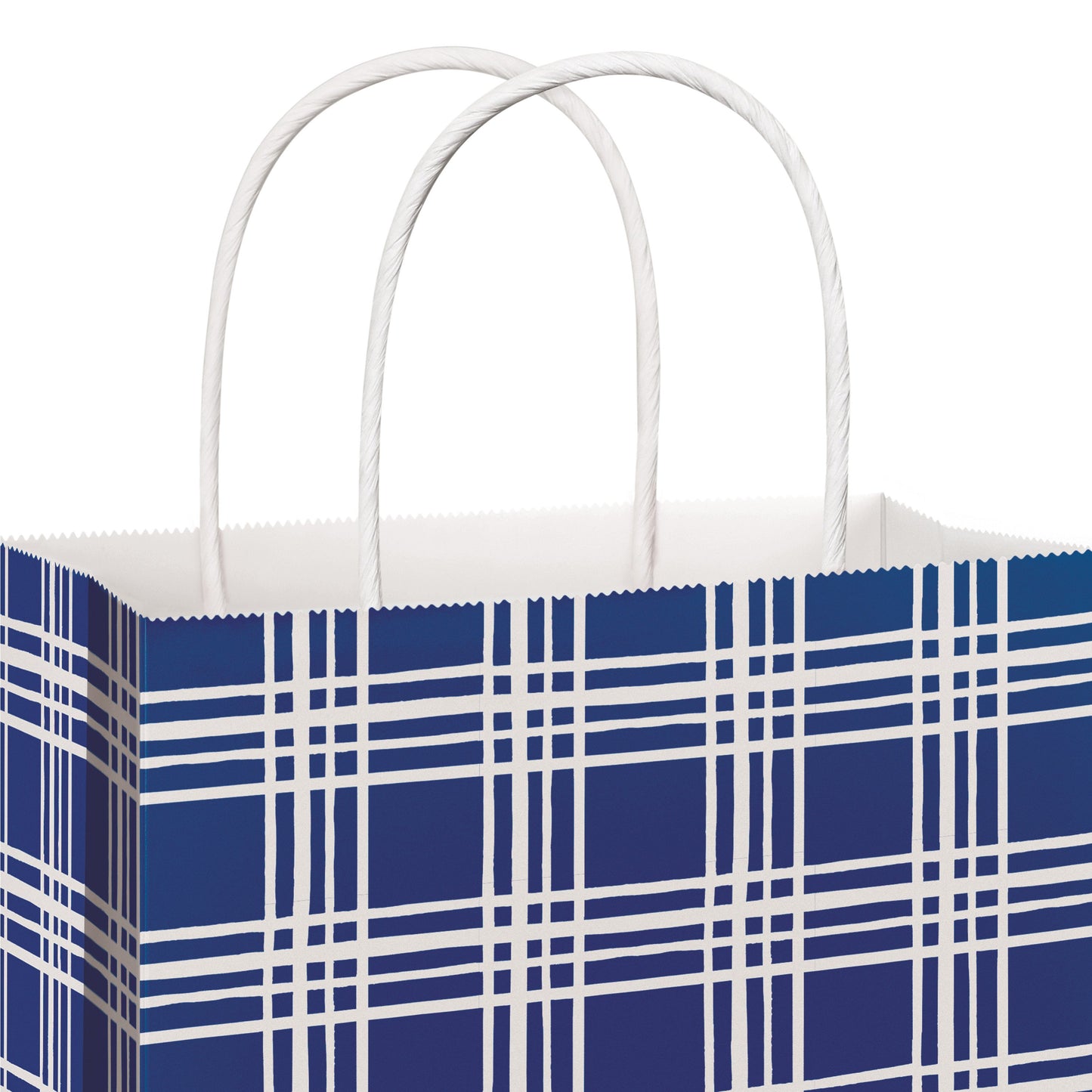 American Greetings All Occasion Large Blue Plaid Gift Bag