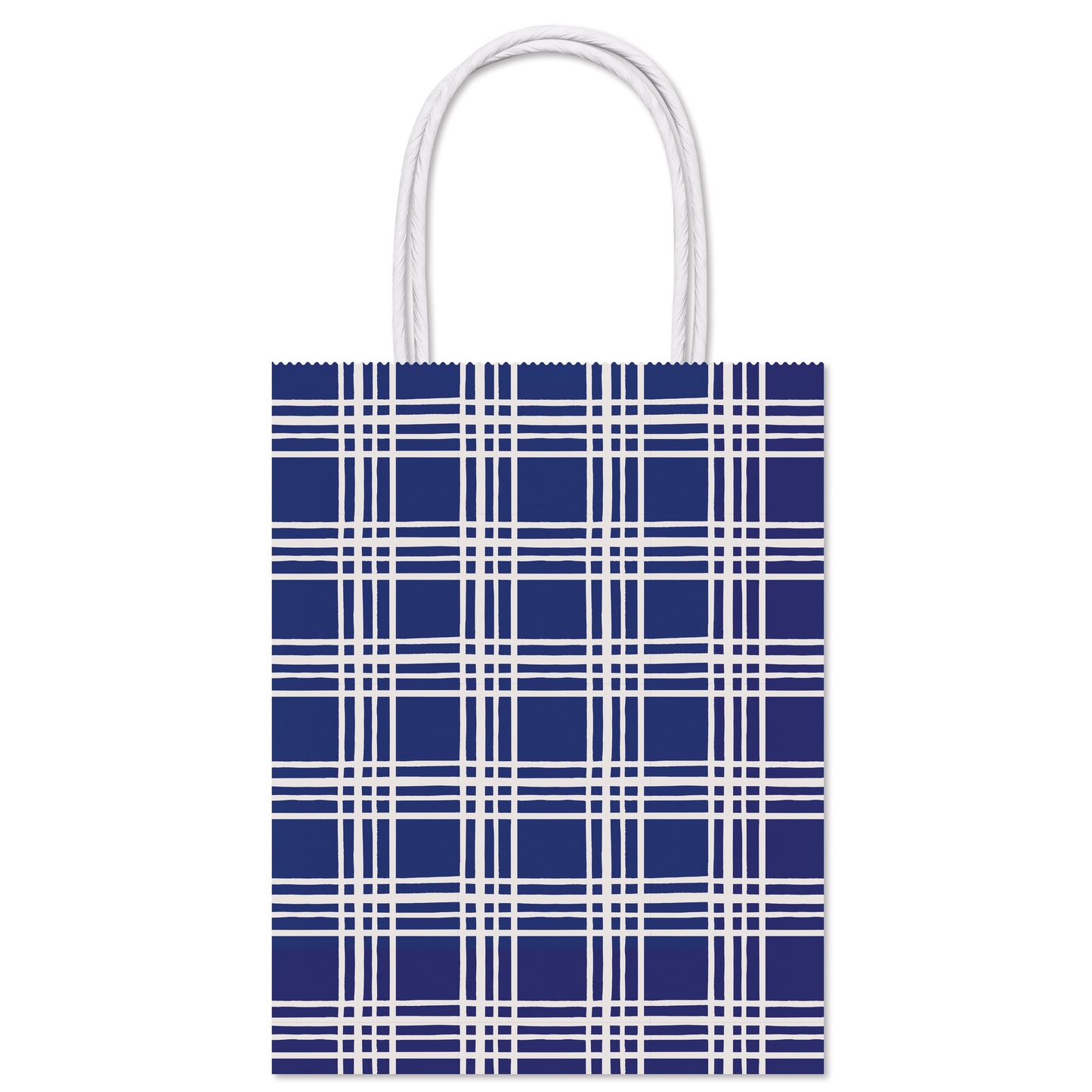 American Greetings All Occasion Large Blue Plaid Gift Bag