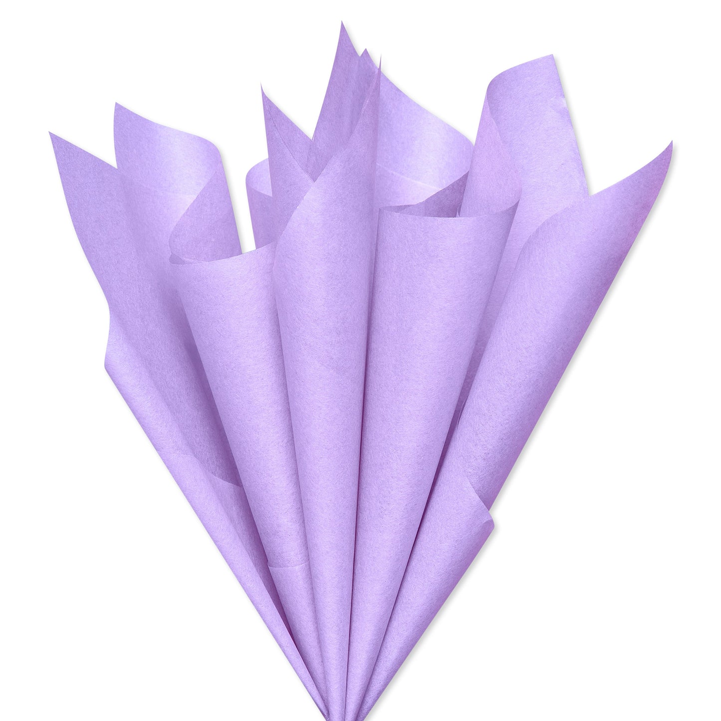American Greetings Lavender Tissue Paper, 8 ct