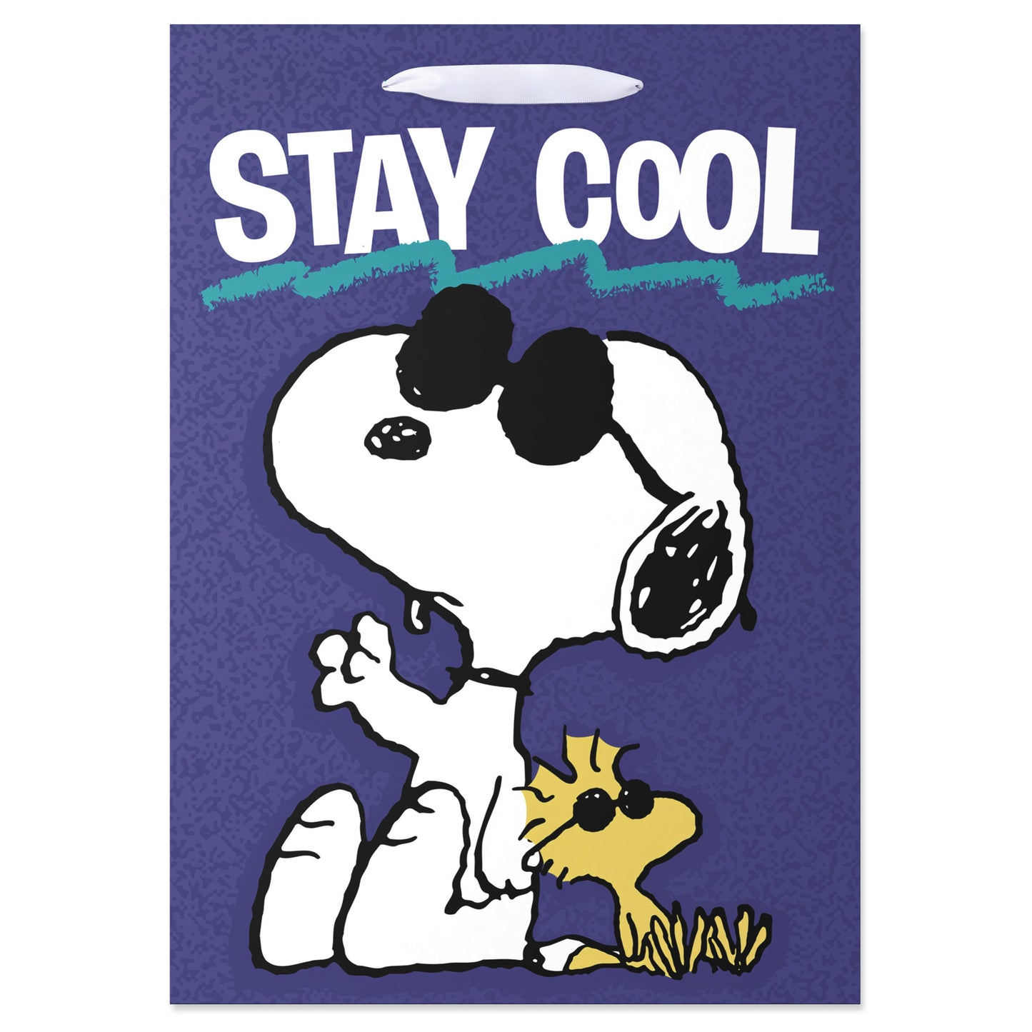American Greetings Snoopy & Woodstock Stay Cool Blue Medium Gift Bag