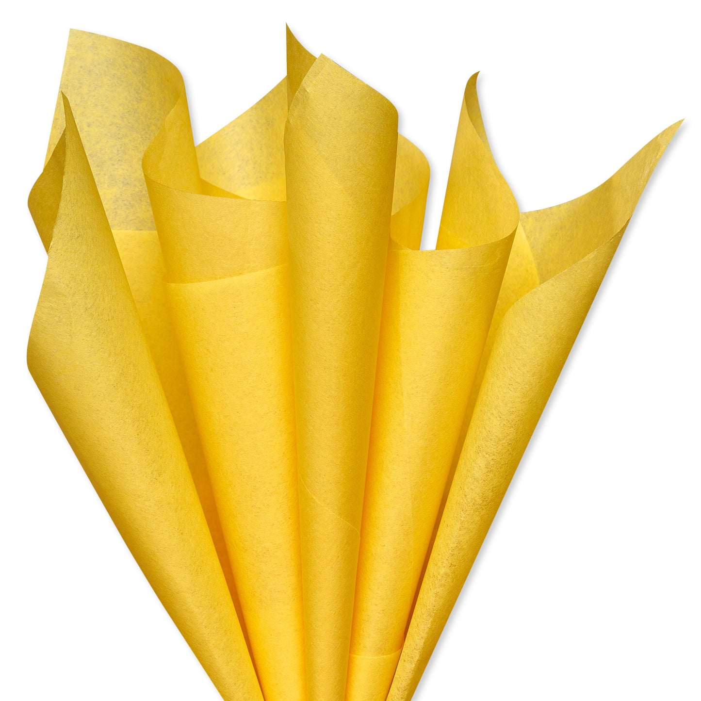 American Greetings Yellow Tissue Paper, 8 ct