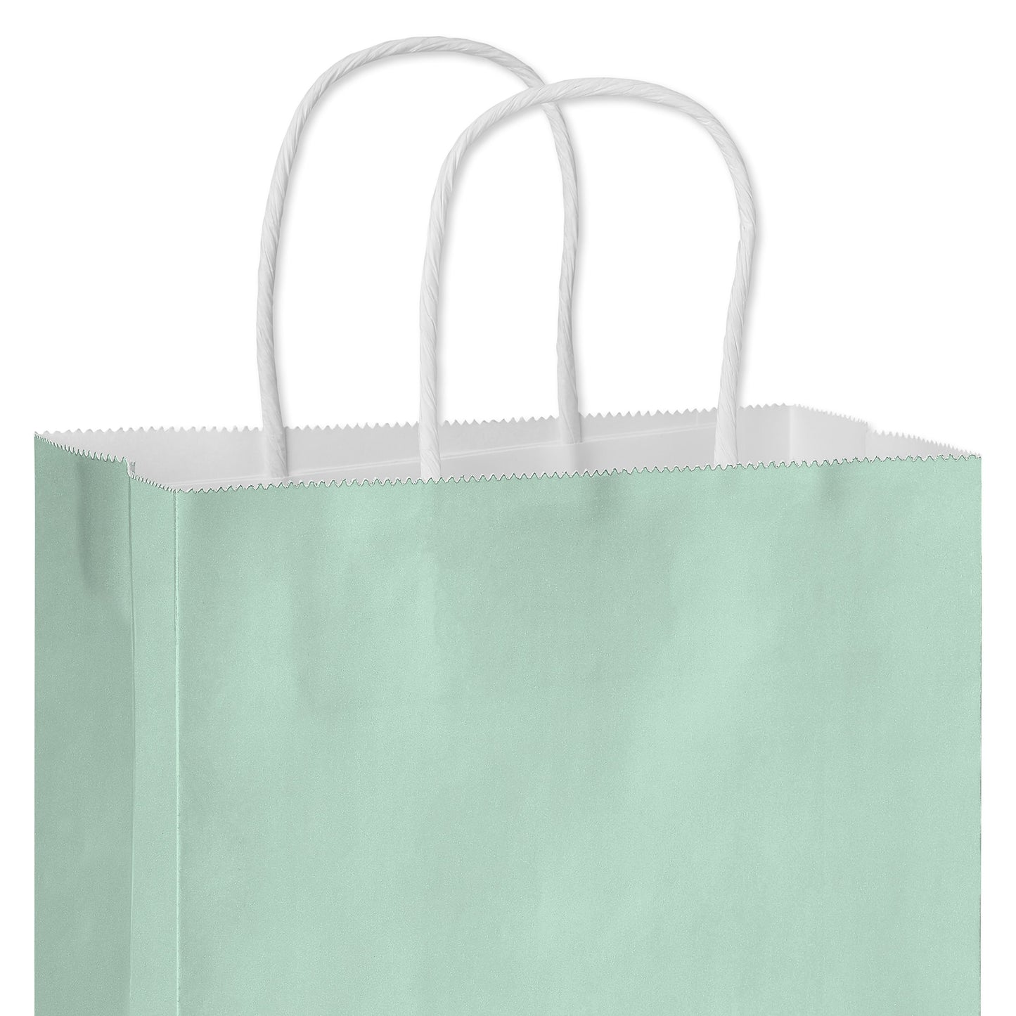 American Greetings Medium Mint Gift Bag for All Occasions