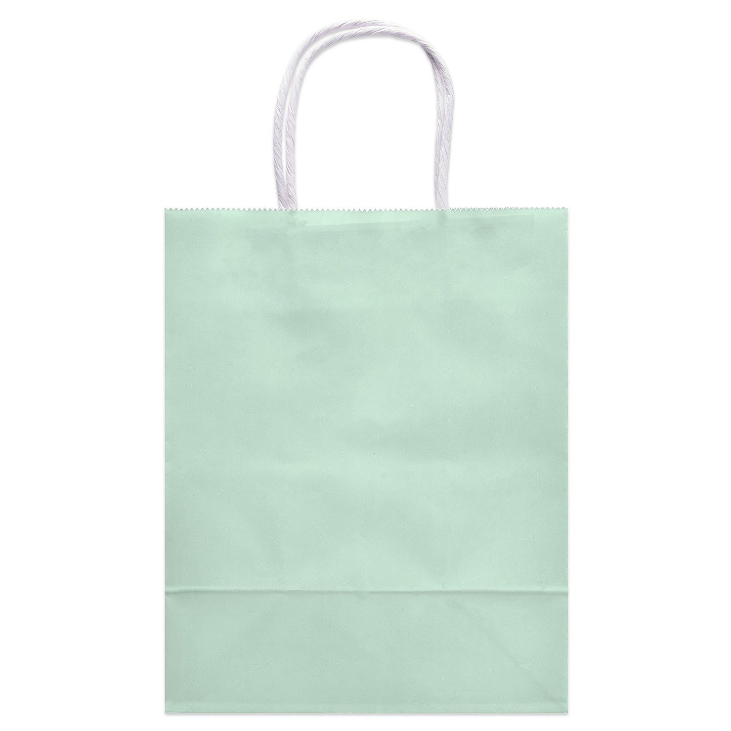 American Greetings Medium Mint Gift Bag for All Occasions