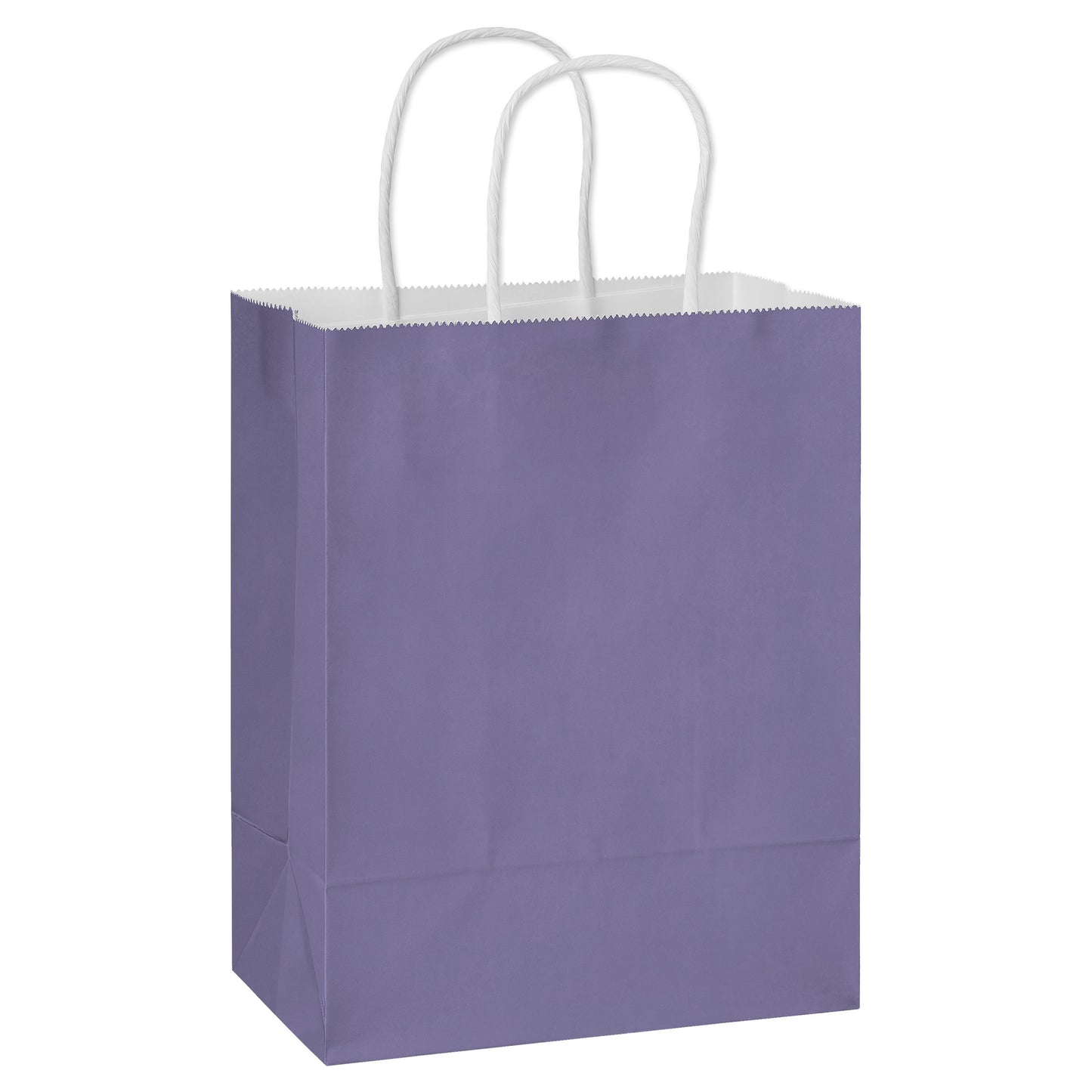 American Greetings Medium Purple Gift Bag for All Occasions