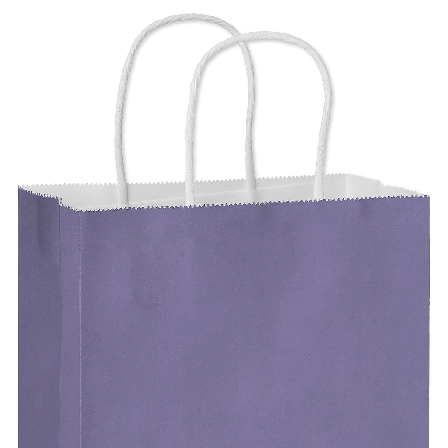 American Greetings Medium Purple Gift Bag for All Occasions
