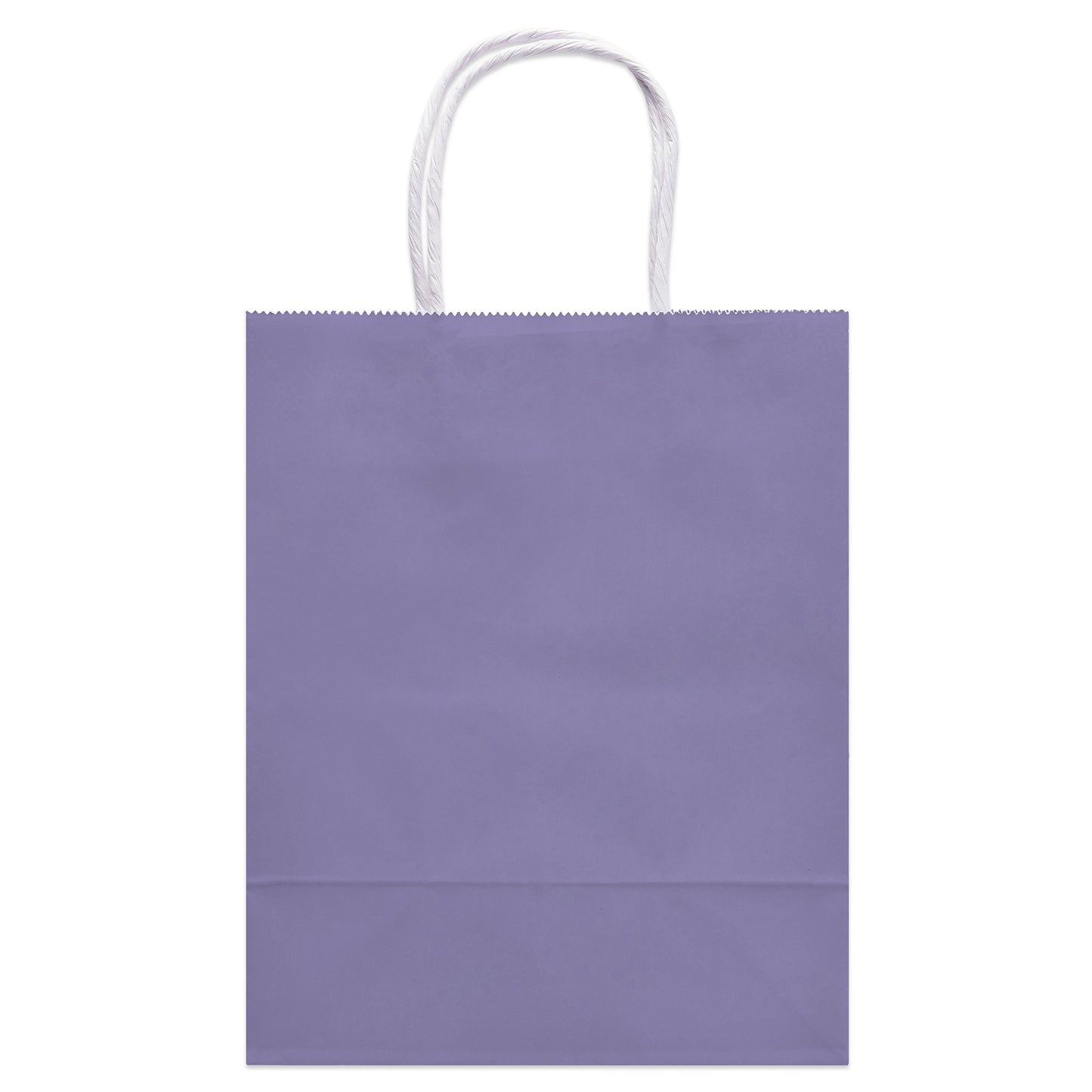 American Greetings Medium Purple Gift Bag for All Occasions
