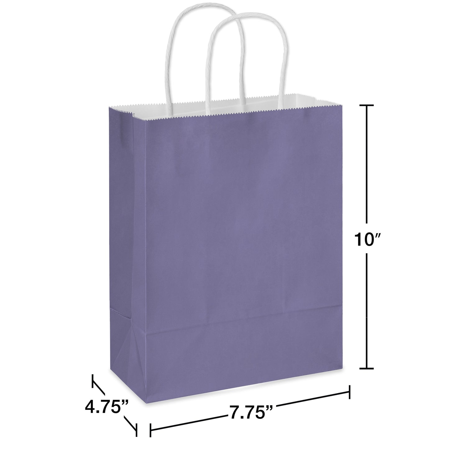 American Greetings Medium Purple Gift Bag for All Occasions