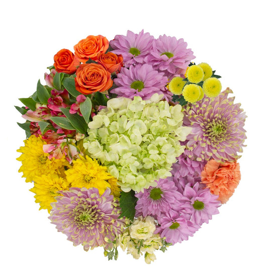 BLOOMS by H-E-B Groovy Gals Bouquet