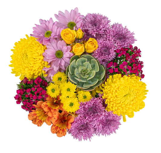 BLOOMS by H-E-B Groovy Gals Bouquet