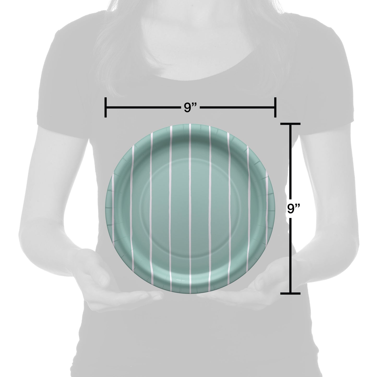 American Greetings Stripes on Green 9" Paper Plates
