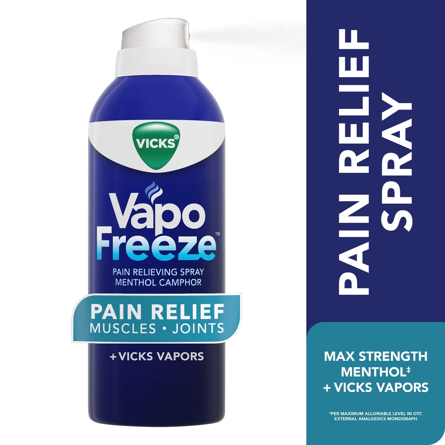 Vicks VapoFreeze Topical Pain Spray, Maximum Strength Menthol for Muscle, Joint, Knee, & Back Pain Relief