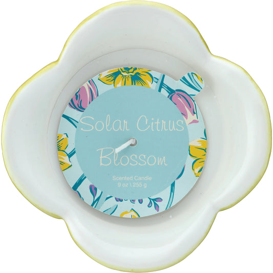 Destination Holiday Solar Citrus Blossom Scented Tulip Candle