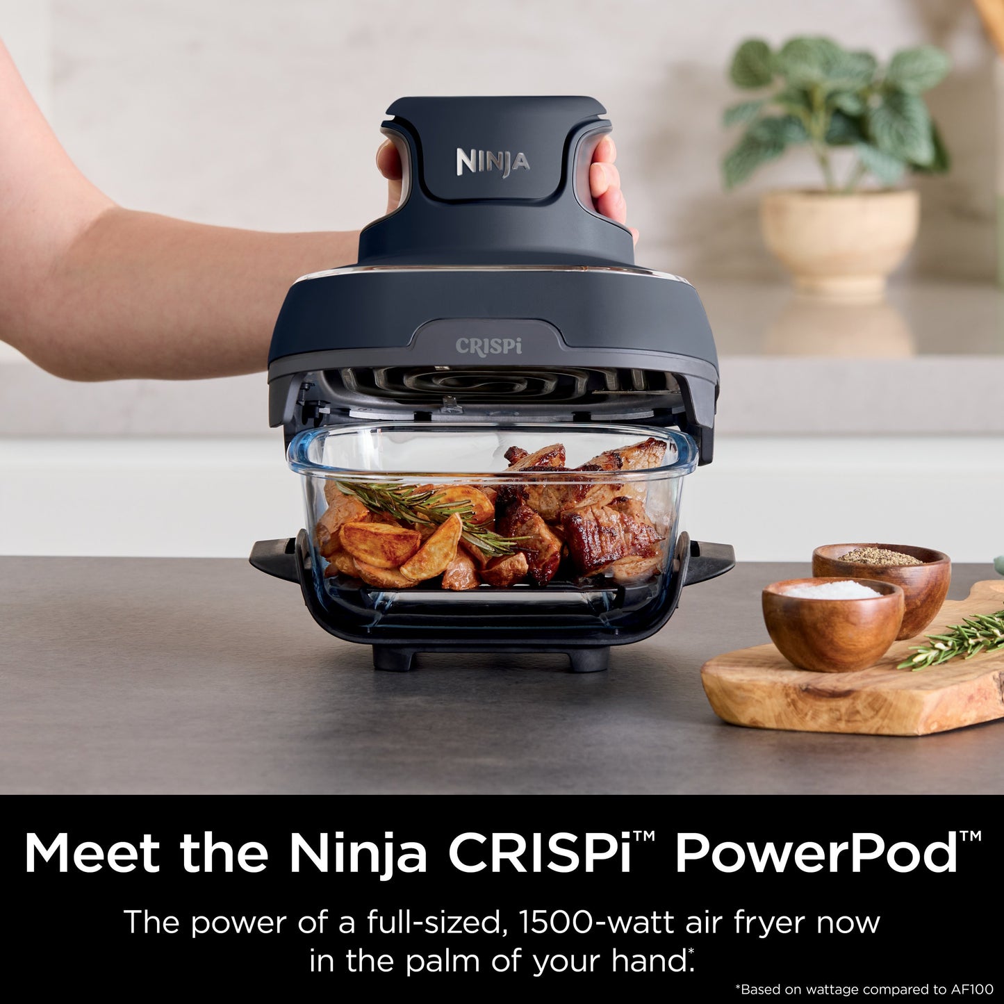 Ninja Crispi Portable Cooking System