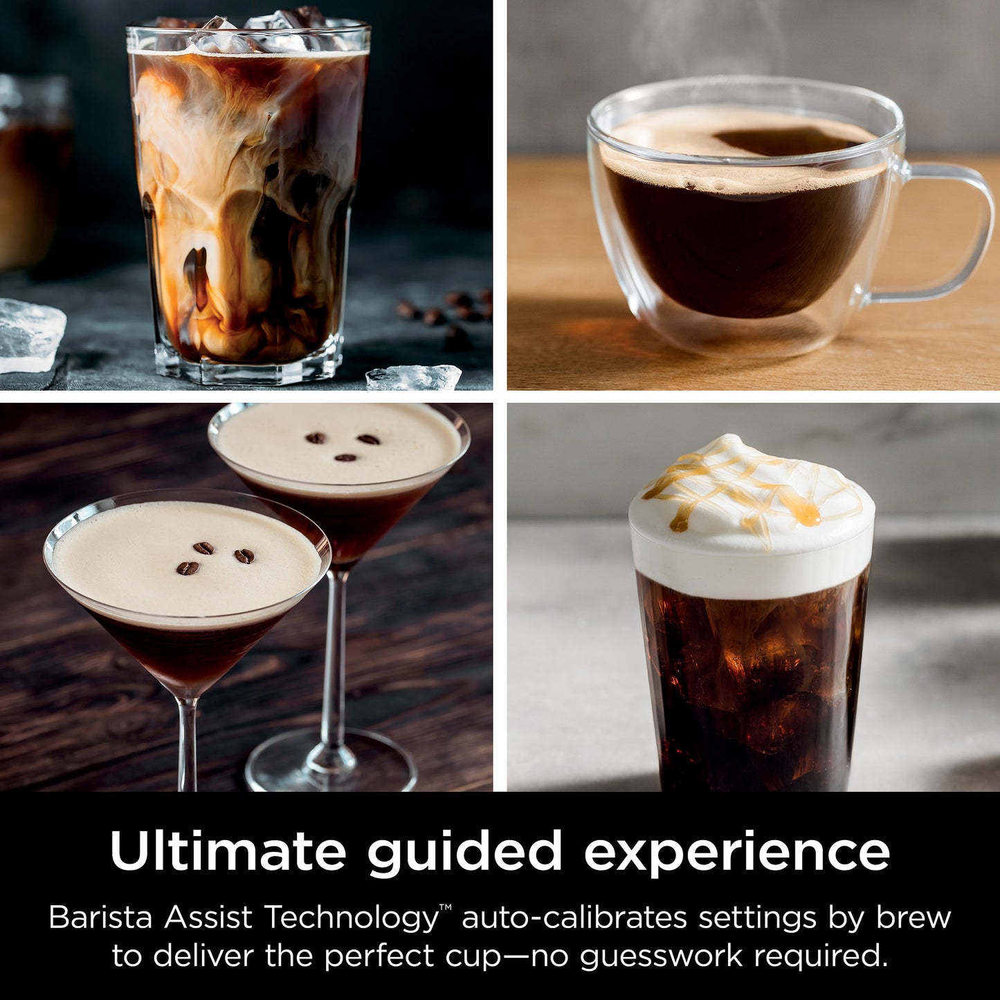 Ninja Luxe Cafe 3 in 1 Espresso Maker