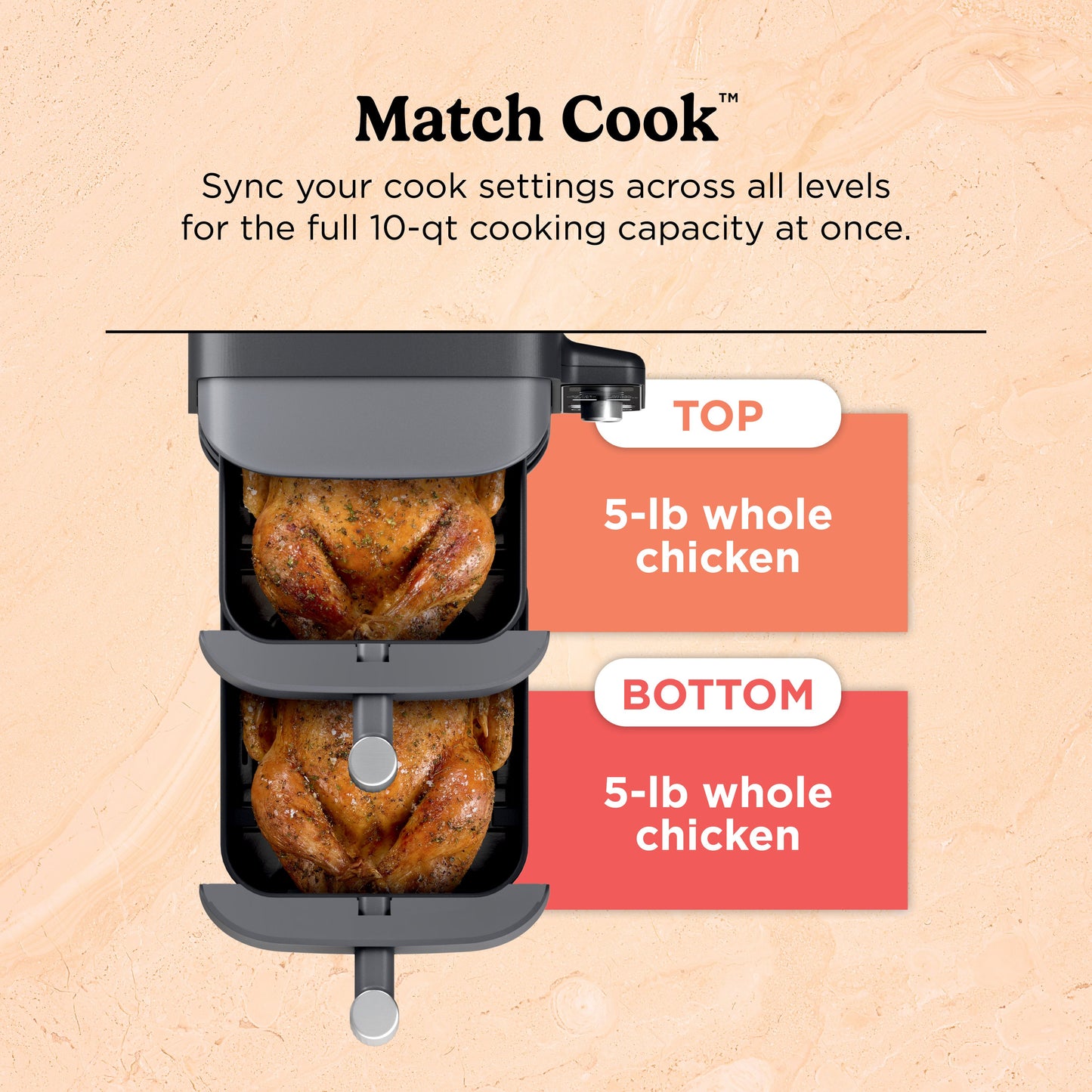 Ninja DoubleStack XL Air Fryer