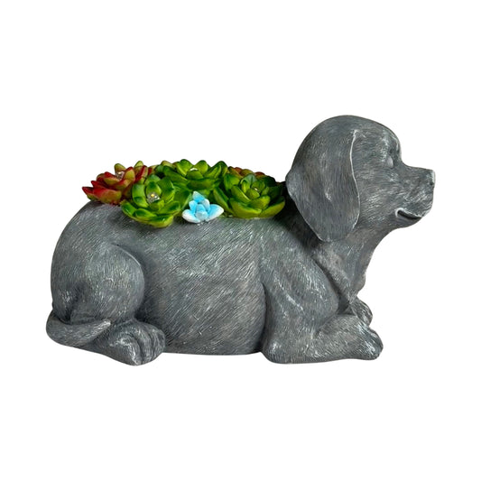 Forever Gifts Solar Succulent Statue - Dog