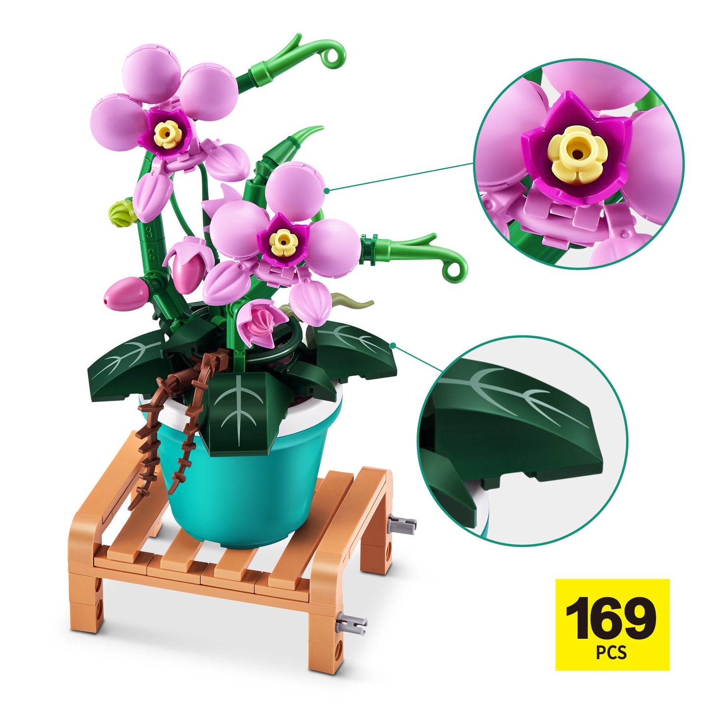 Zuru MAX Garden Collection Capsule - Phalaenopsis