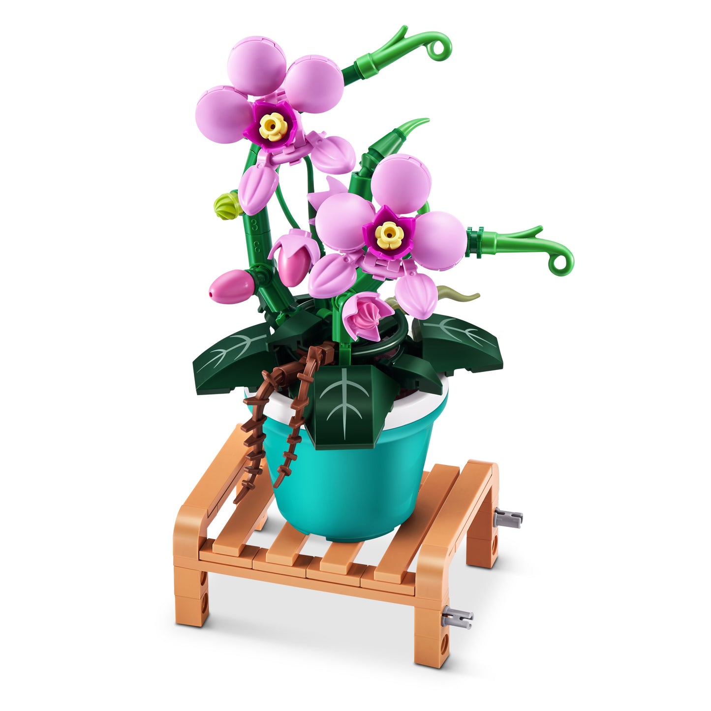 Zuru MAX Garden Collection Capsule - Phalaenopsis