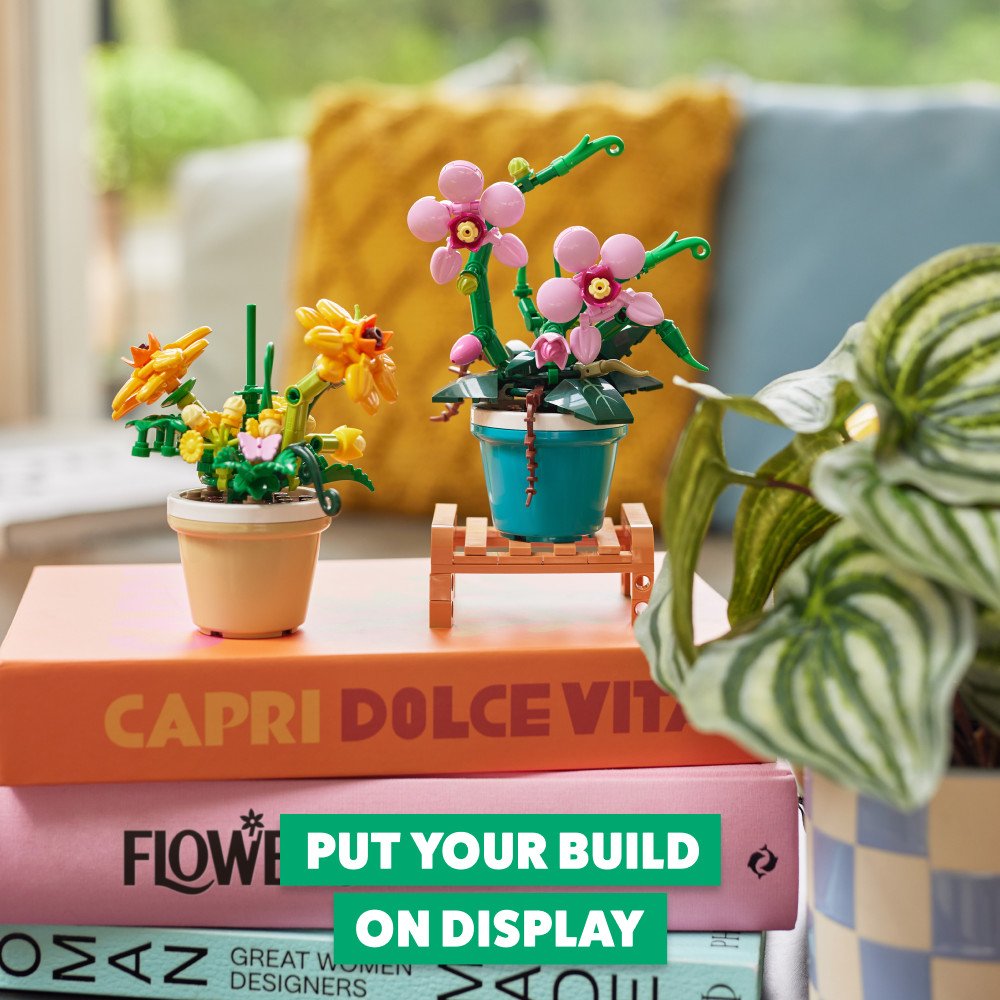Zuru MAX Garden Collection Capsule - Phalaenopsis