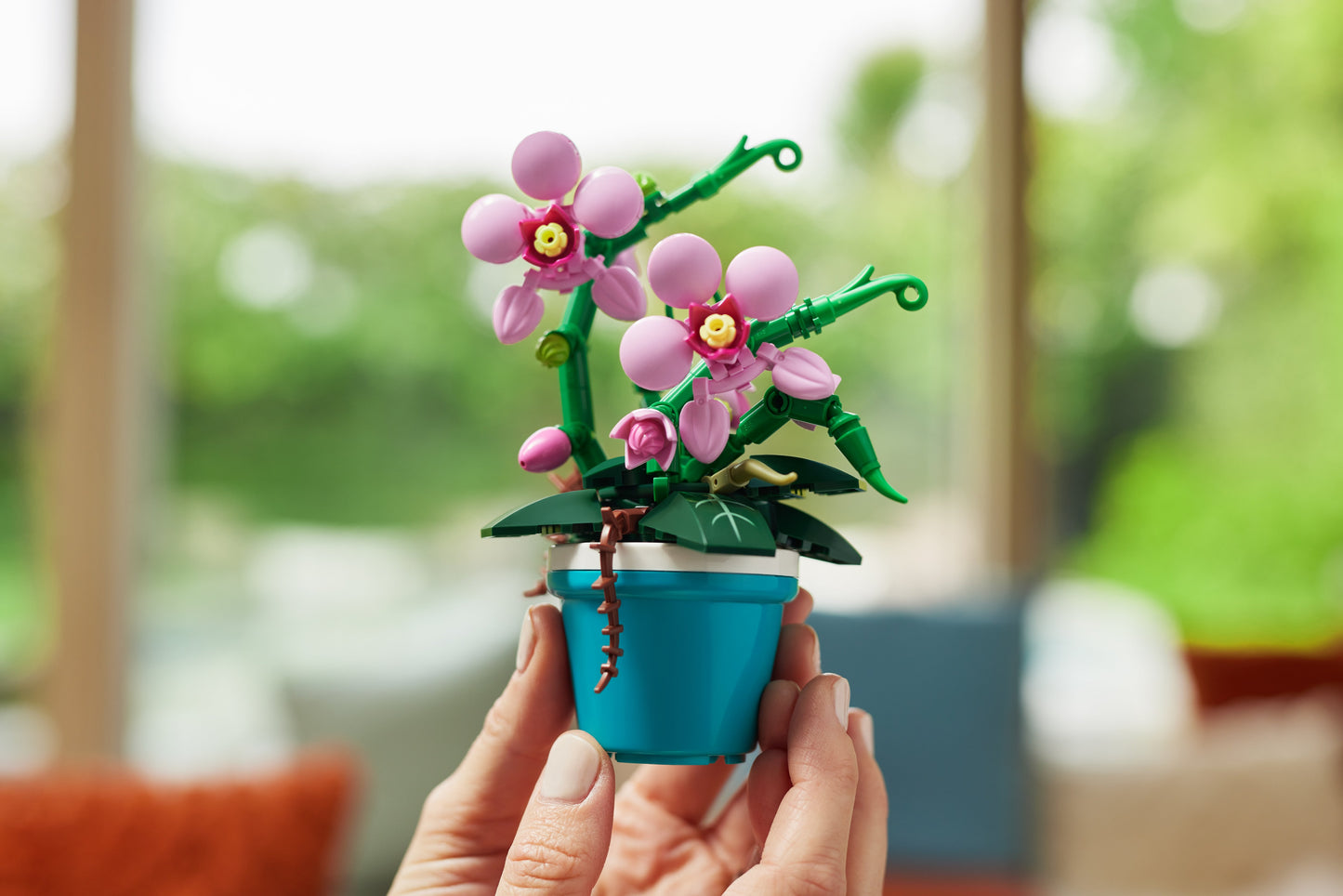 Zuru MAX Garden Collection Capsule - Phalaenopsis