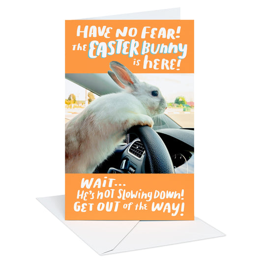 American Greetings Funny Easter Card - Not Slowing Down