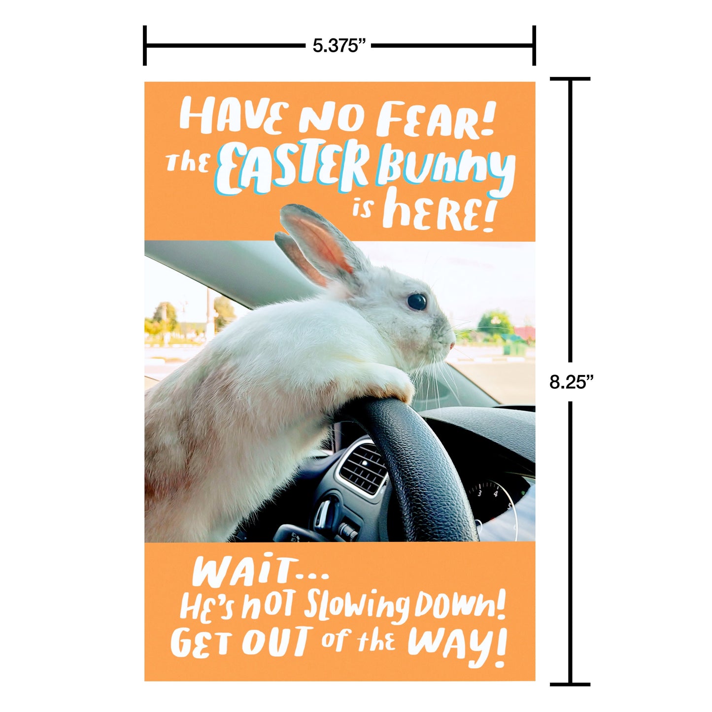 American Greetings Funny Easter Card - Not Slowing Down