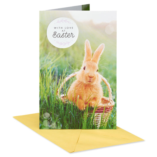 American Greetings Easter Card - Springtime Bunny