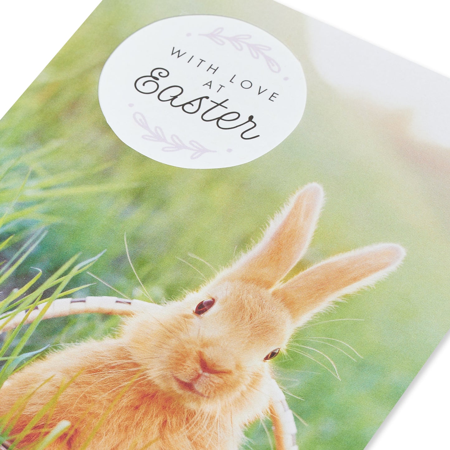 American Greetings Easter Card - Springtime Bunny