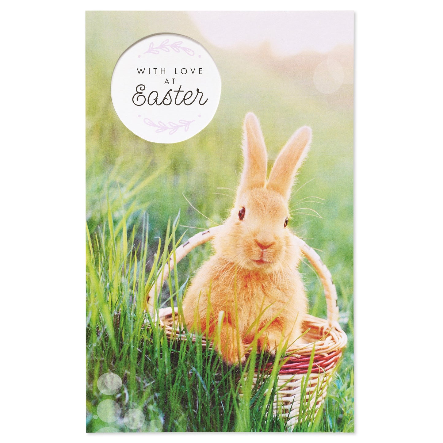 American Greetings Easter Card - Springtime Bunny
