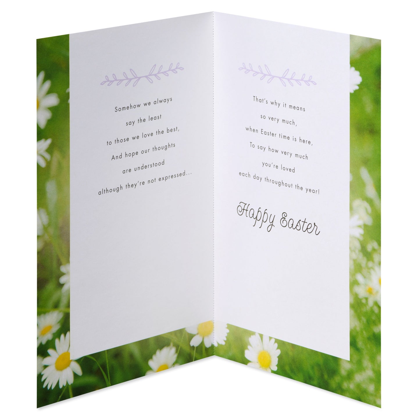 American Greetings Easter Card - Springtime Bunny