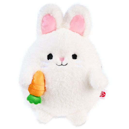 American Greetings Easter Plush Bunny with Zipper Pouch