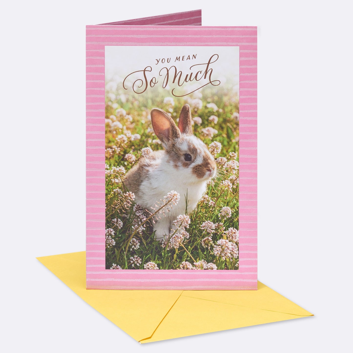 American Greetings Easter Card - Appreciated