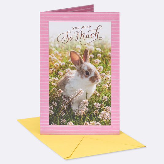 American Greetings Easter Card - Appreciated