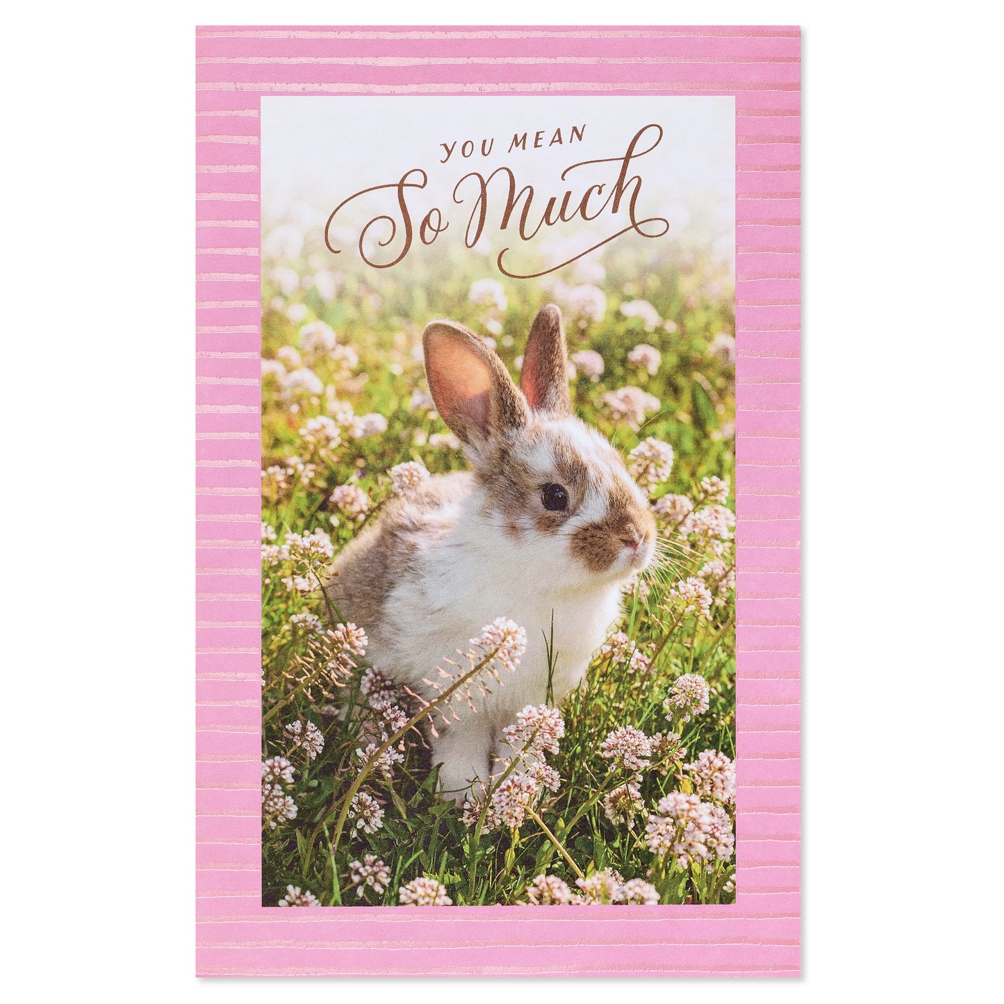 American Greetings Easter Card - Appreciated