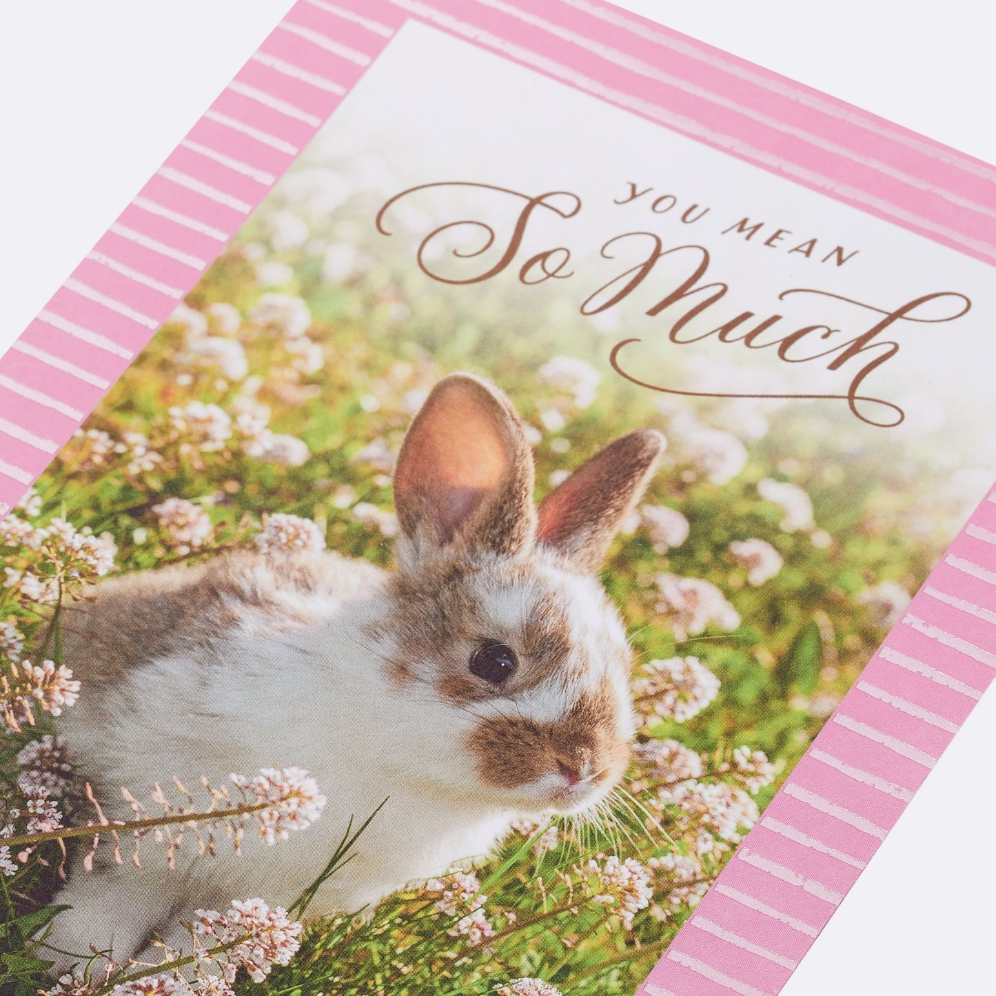 American Greetings Easter Card - Appreciated