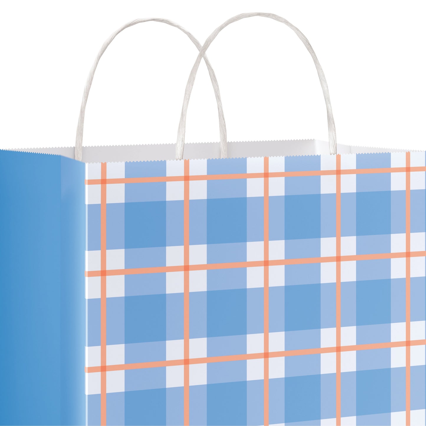 American Greetings Blue Plaid Medium Easter Gift Bag