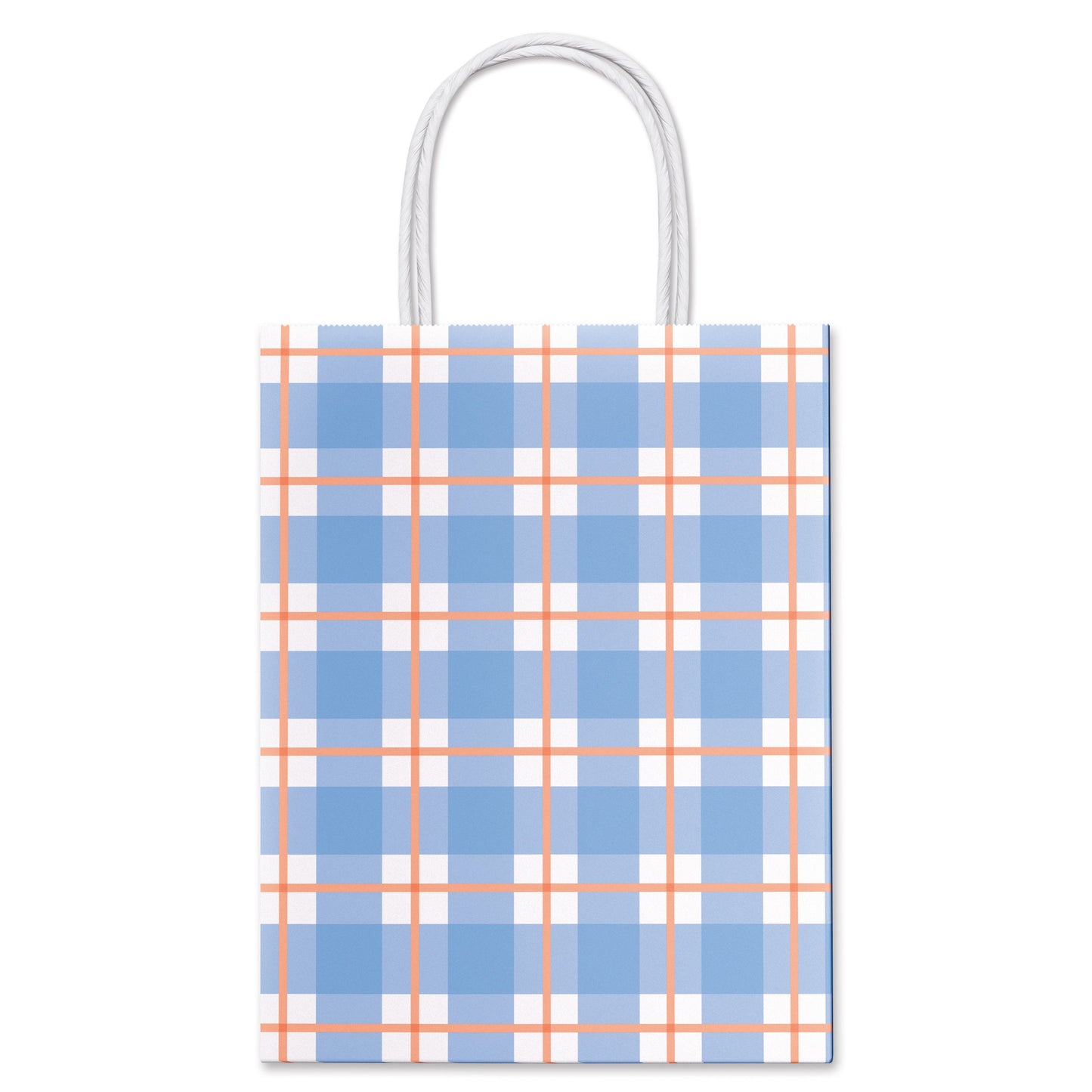 American Greetings Blue Plaid Medium Easter Gift Bag