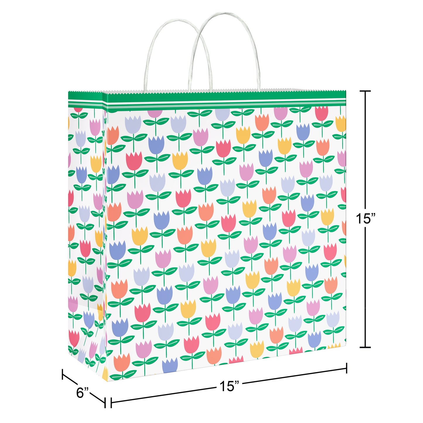 American Greetings Springtime Tulips Jumbo Easter Gift Bag