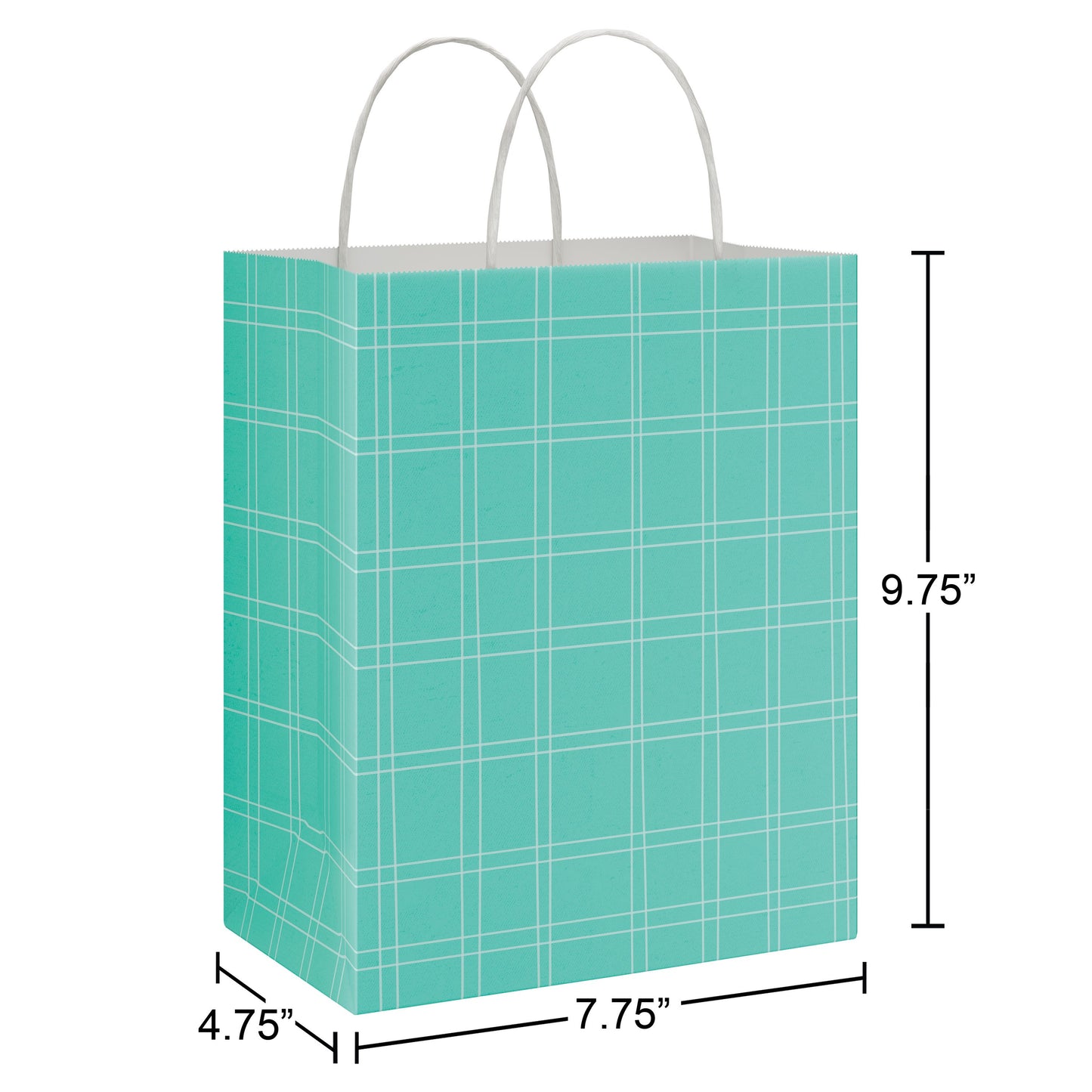 American Greetings Easter Gift Bag Combo Ensemble with Tags