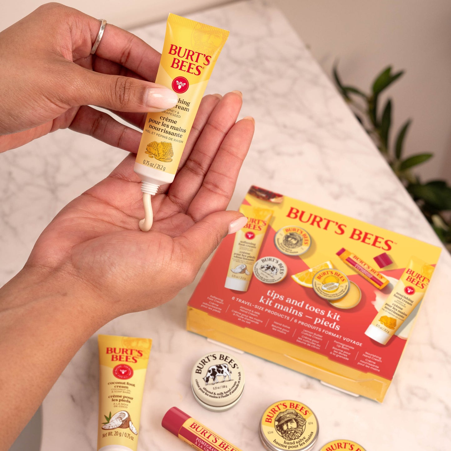 Burt's Bees Tips and Toes Gift Set